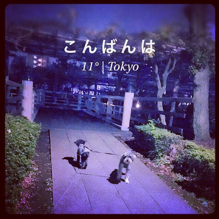 5092bf29 18f1 410b b121 6a6e2583b792