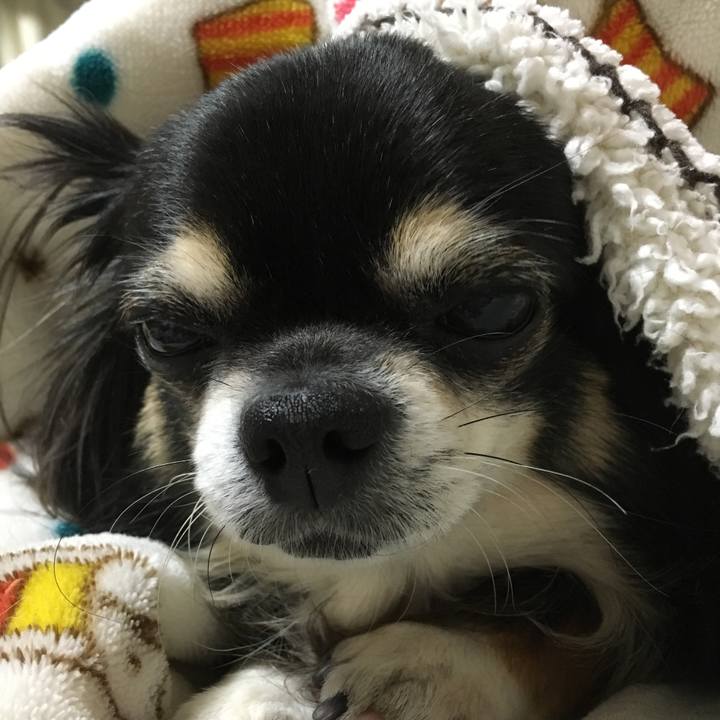 5092c360 36a0 4c72 acf6 9b06b6d2a05b