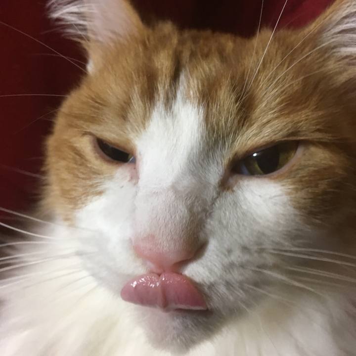 5092ea86 3b6d 49b4 a5a4 06f39916693c