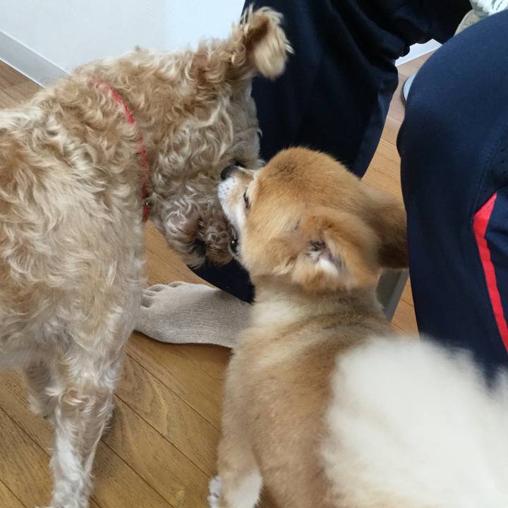 5093923b 22d2 4510 8fbe 8bdebc9b1717