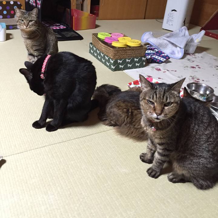 5093b8c7 c113 449b adf7 ccd7f2c0b04c