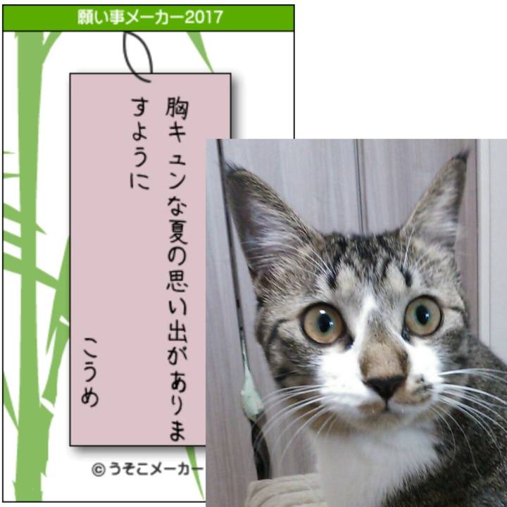 5093c722 bdc2 41b0 8dd4 c179a6e48da0