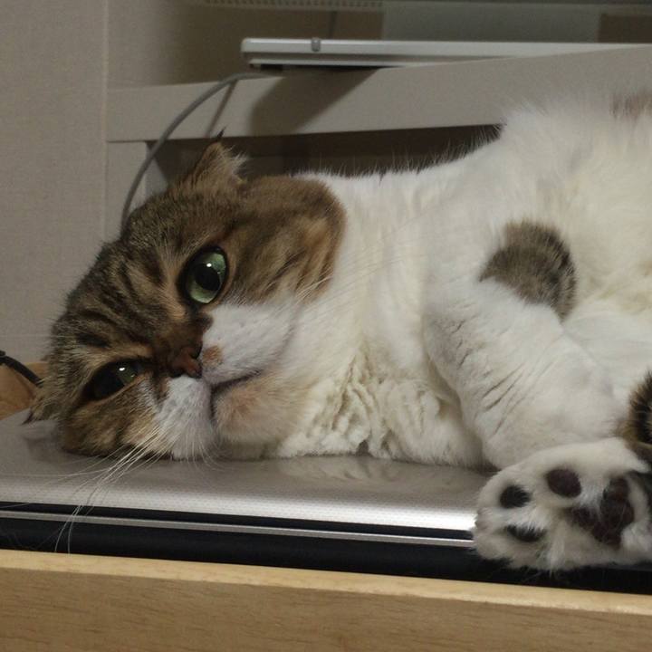 50941cf3 05a5 46c7 9994 96d13b327199