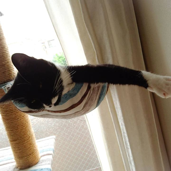 50944411 4e28 430b ac52 4f308b62bf08