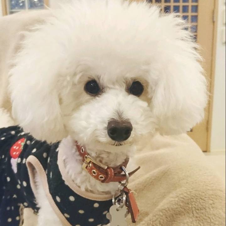 509456ec 900e 4fc7 861e 2517eb39a7f4