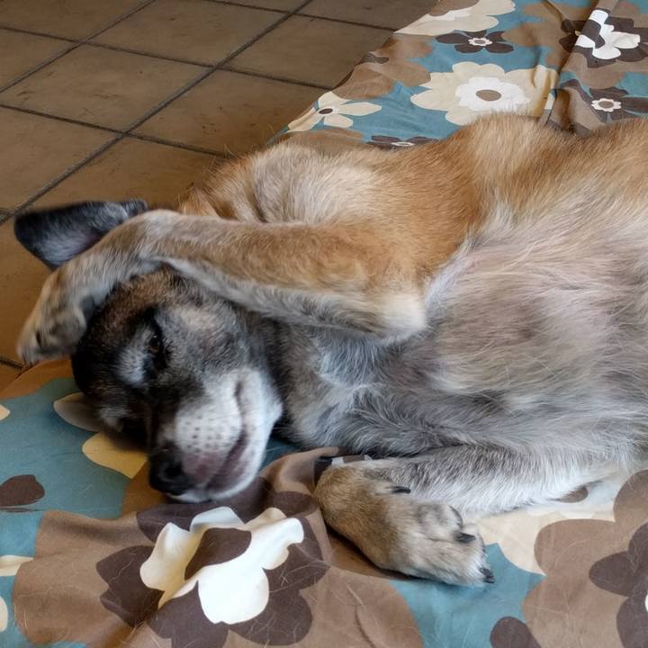 50959160 38de 47e4 950a b226959c7981