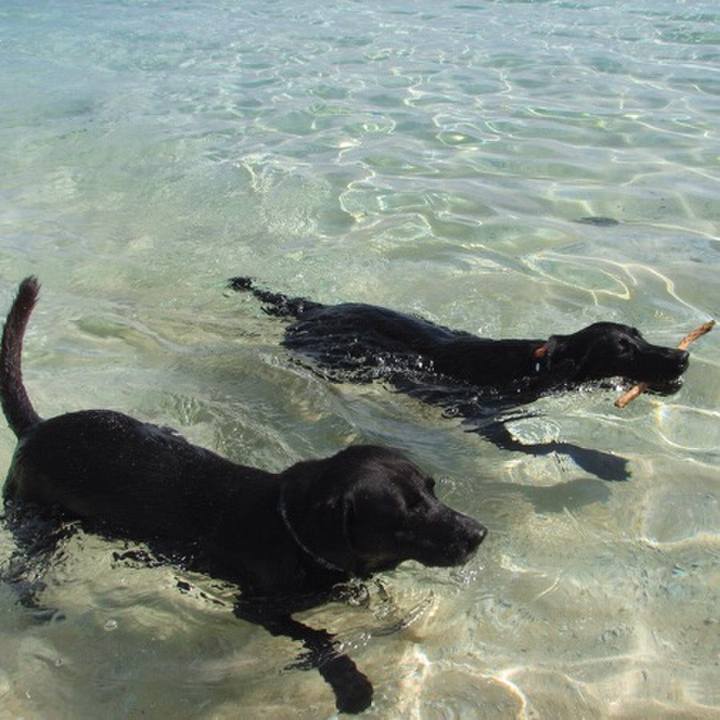 5095aa3f 1428 46bc 9bd0 c37b2a21354c