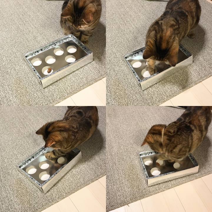 5095da40 f327 4565 8320 b4fe36428607