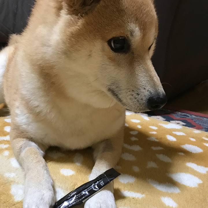 50965f46 e0e4 42ce 90b6 e0900994afd7