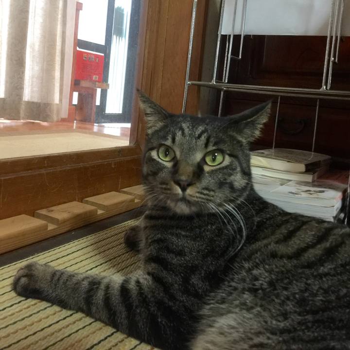 5097cdb5 b12d 4ad3 ad99 088fdb384430