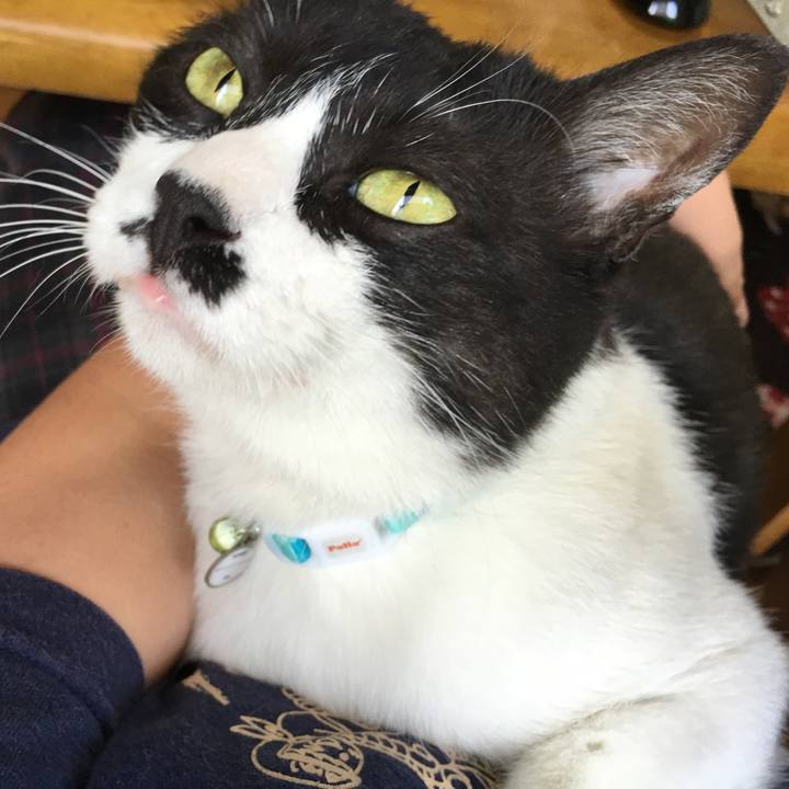 5097dfc5 99c8 486b 9e29 9863c19c097c