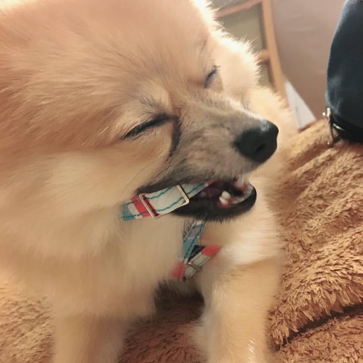 5097feba e536 4be1 bb74 7c3f4f9d2ba6