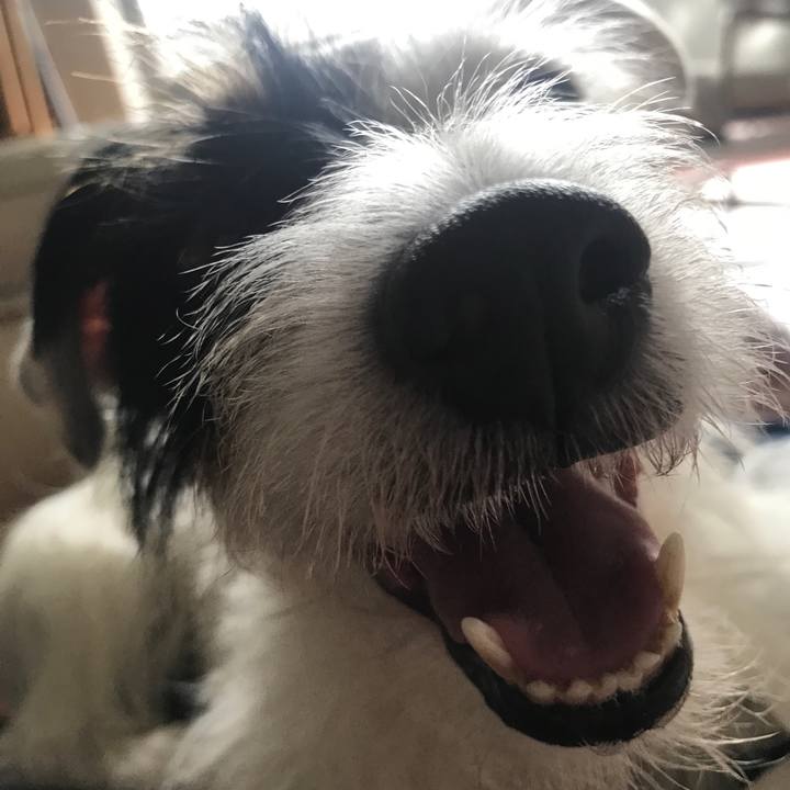 509857a4 1387 448d 9522 72dfbe354178