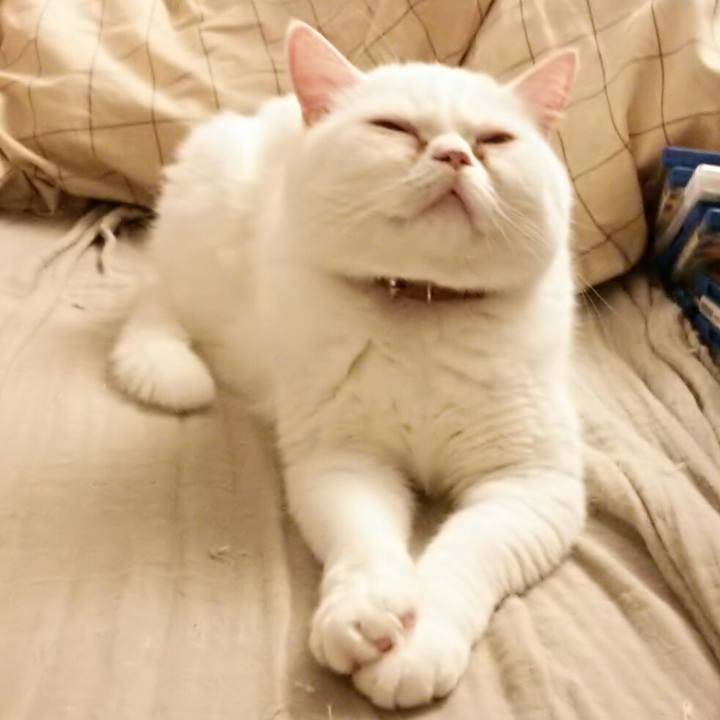 50988d85 9367 4db6 bddf d52d04165fe8