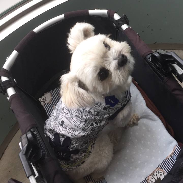 5098f58e 0cbd 4e1d b953 1e27032fc6fd