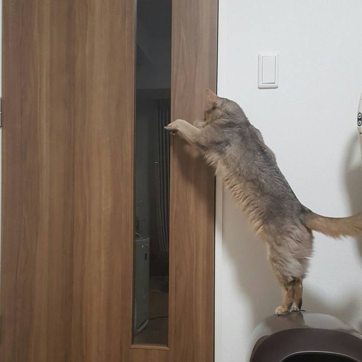 509932c2 9f76 4107 859a ceac5cf625f3