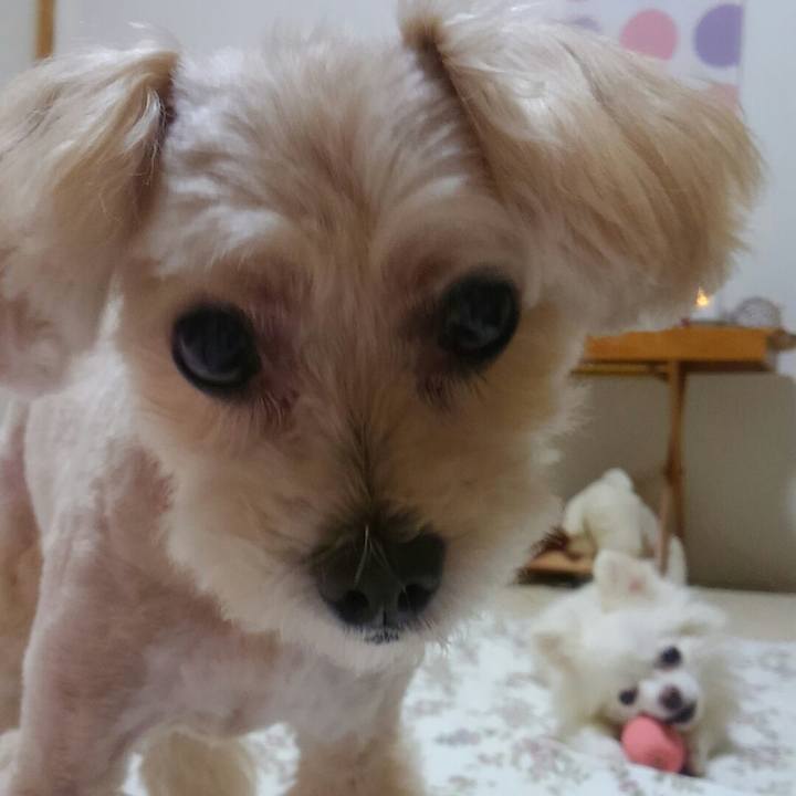 50994756 9ba5 41ac 939a c30429187f11