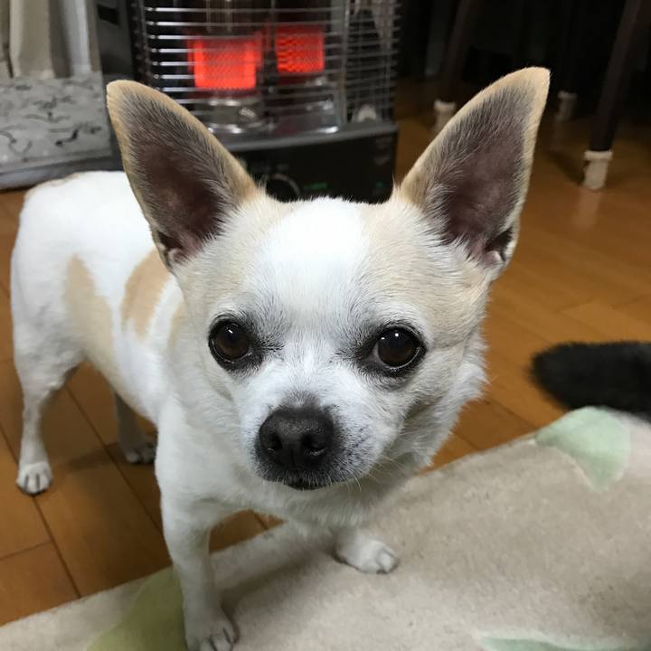 50998c43 63de 45e8 ac3a 6c083468bf63