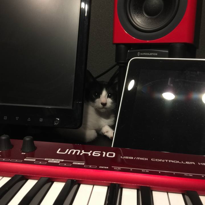 5099963b ffcb 4748 a1a0 571683ef9eef