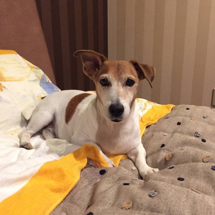 50999d5e 3183 4140 a80b 4ab0e0d9a6ca