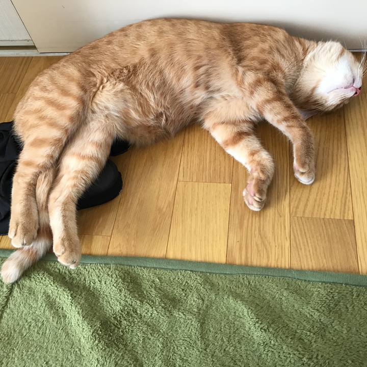 5099fcd7 aaa5 4559 af6e 2adb80cb85cf