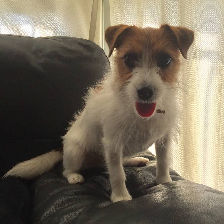 509b0bc3 b9e8 4370 b89f 79f5c231e755