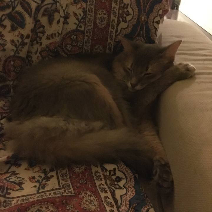 509b6e8d d917 456b a6cb 1d55404463b8