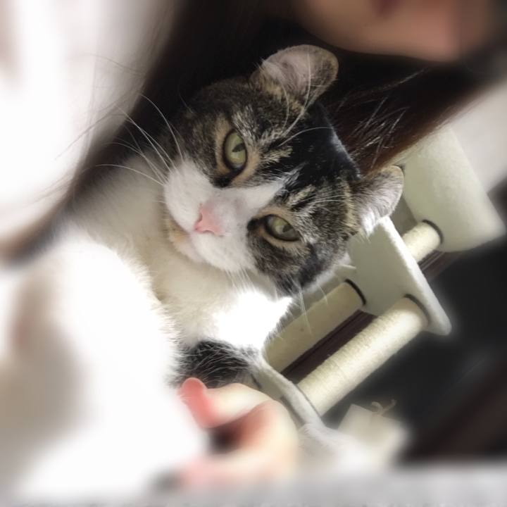 509c82c2 574a 43da bcee 1fe9d86b706f