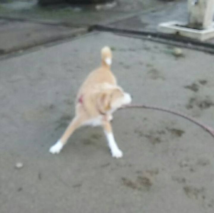 509cad85 05a0 4d2a a70b 3fa46154d828