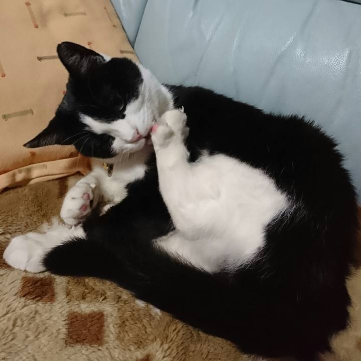 509cdc6a a504 4f72 8137 e736fcbe69b7