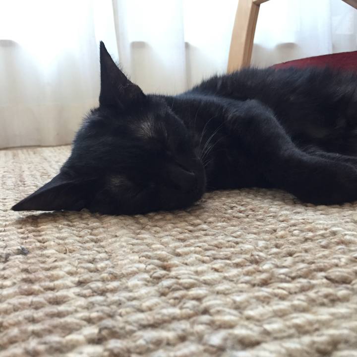 509d39a2 0d89 4a4c a80d bf353375e17c