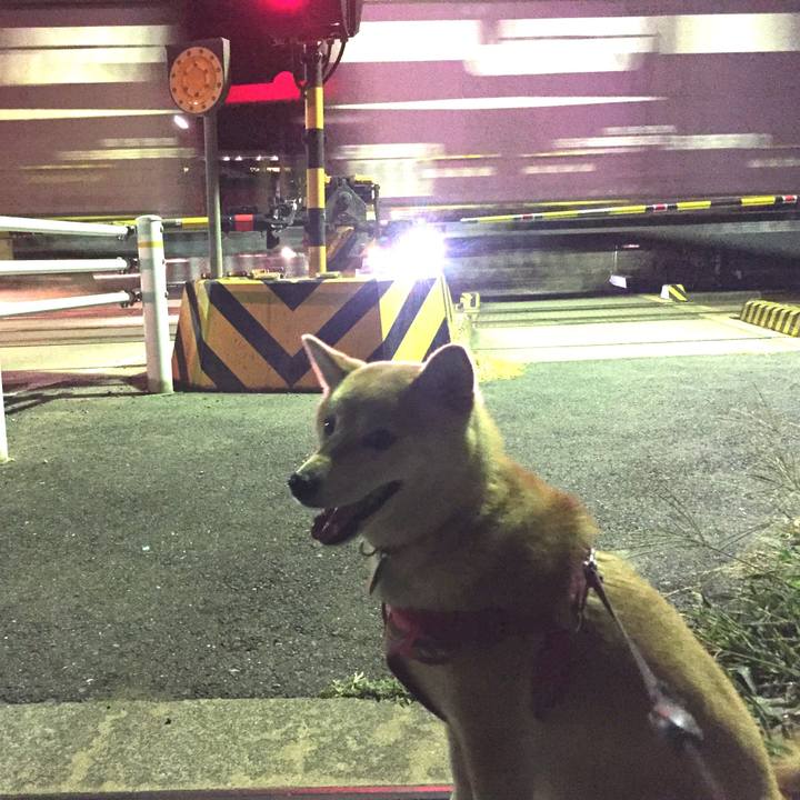 509d79d1 eb5e 43f6 8a9b cabdaccddd59