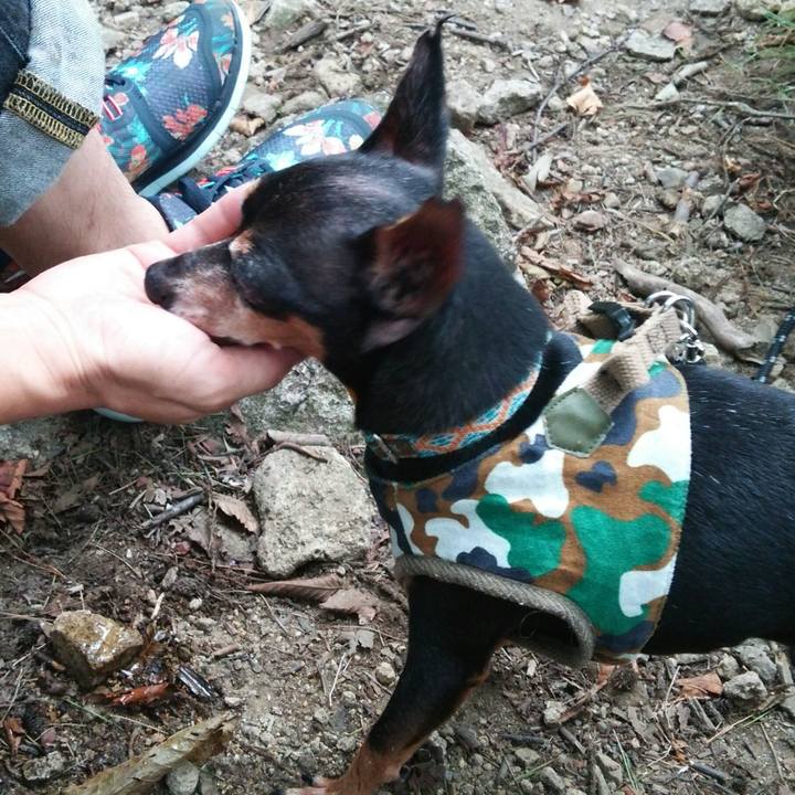 509dbeb3 6cec 4bc1 9515 91a831679e59