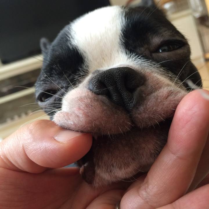 509f42a9 3315 41e2 a1fd e66dee83fd3b