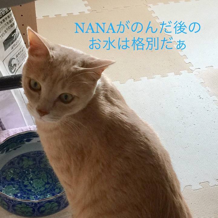 50a00717 71f7 47a4 8d73 8f2db0160ebc