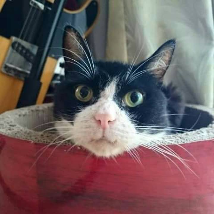 50a03b9b 80d0 4fd2 a287 d76229e53c57