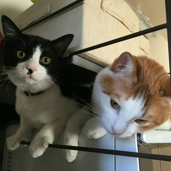 50a0740b 0022 4363 9788 008d96b87142