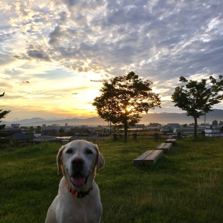 50a0b732 da23 4b65 824b 760bd293c9e6