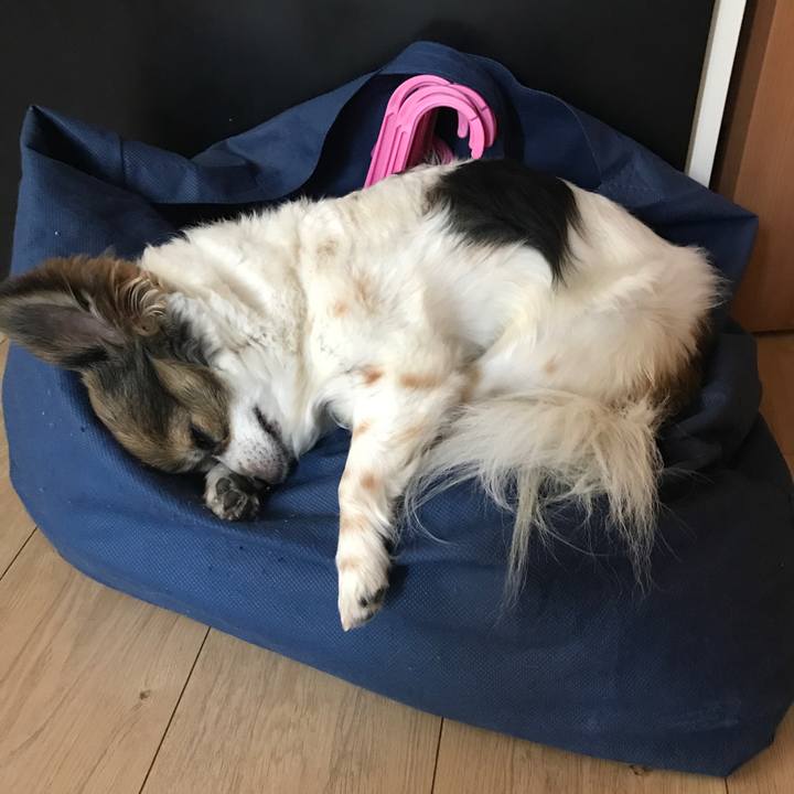 50a1205d f71f 473d 845a d5f8b4c526e0