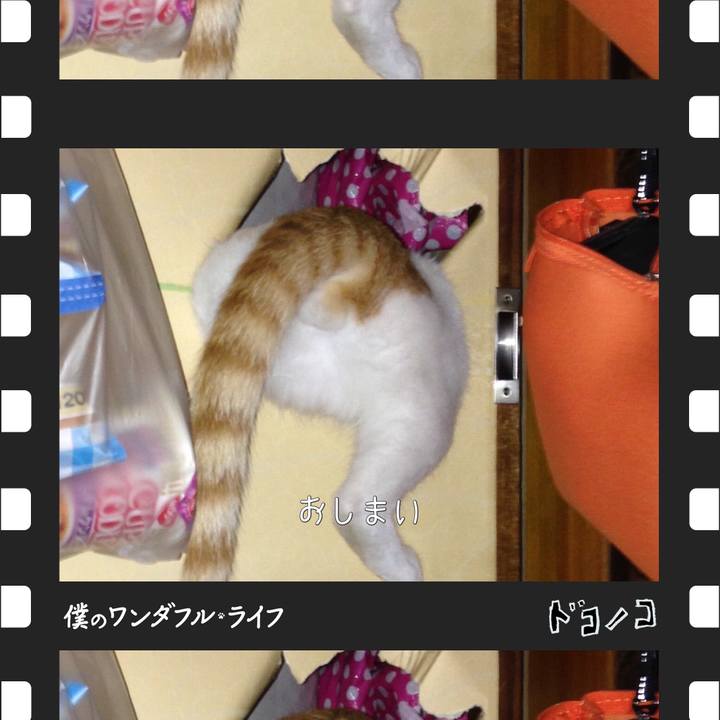 50a13a6c 8e8d 40d0 ba9c 7e07d95d630b