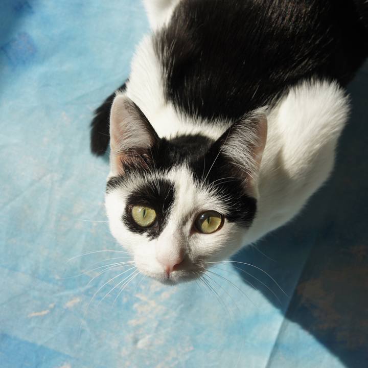 50a18c1f 7b54 4830 a78a 9c8a7c31e70e