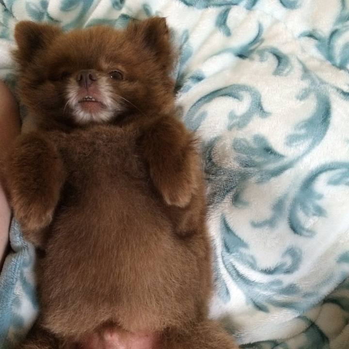 50a1f415 a1c8 46be a3fc d955a3cd0a63