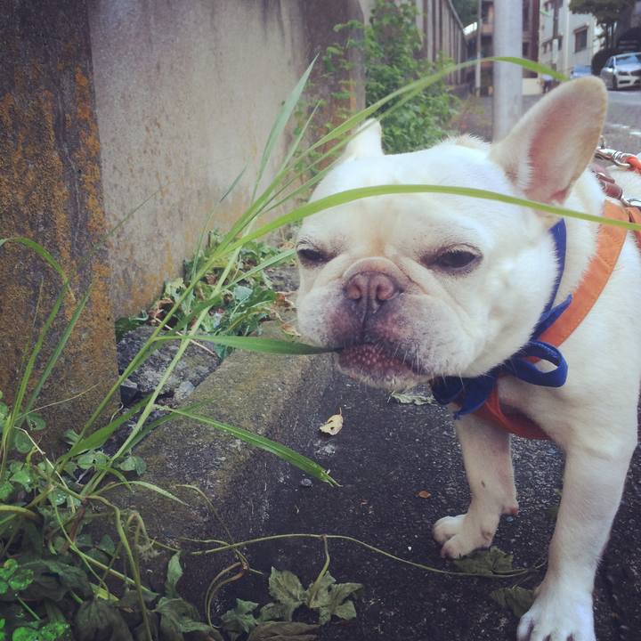 50a25838 b879 4de8 89b5 f2acd3e8dab2