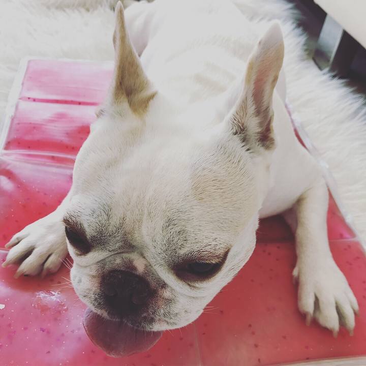 50a2611d bd4a 4f10 91da ac68f6abb2da