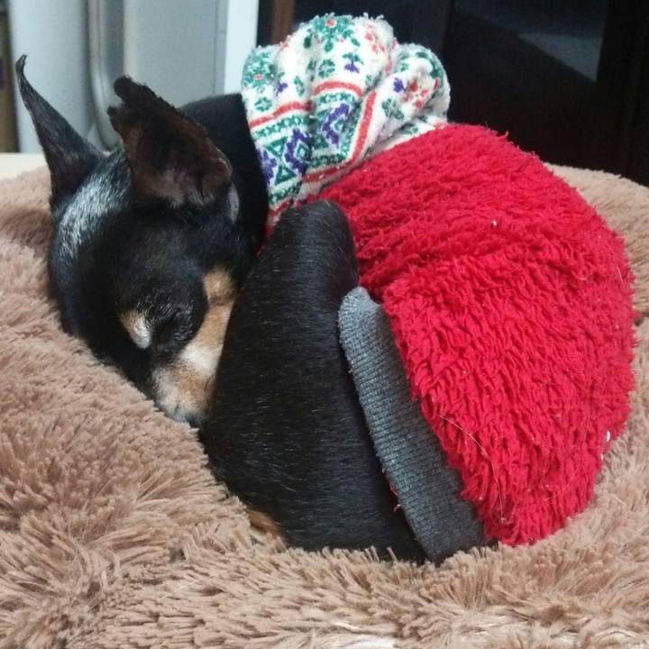 50a2d095 763c 4390 969a 28947da0d0c0