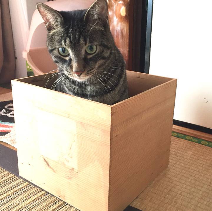 50a2d1cd 4665 41fc b36d fbe77eba55c0