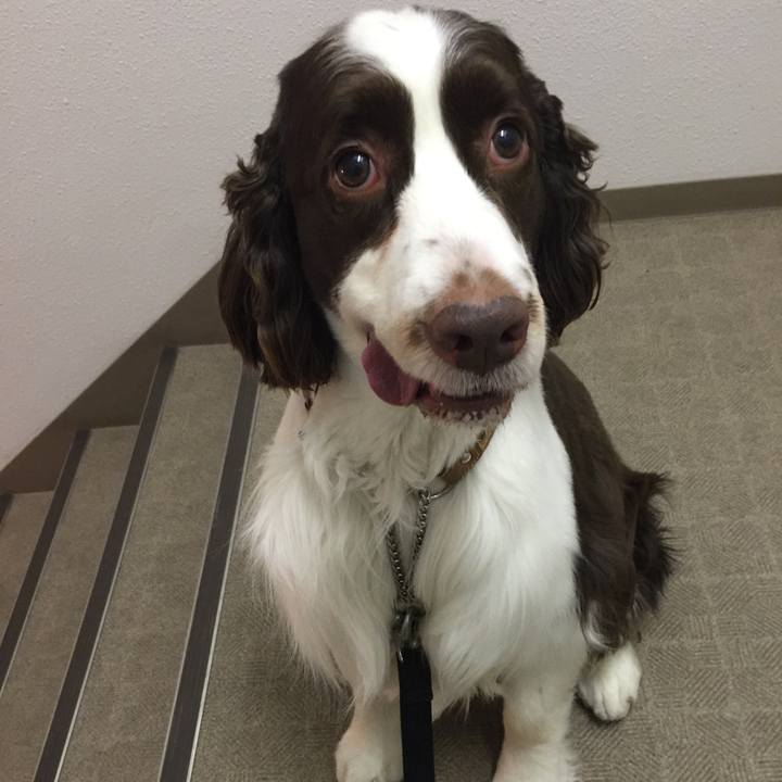 50a303be 000d 4d3d 8944 6b7408e794cf