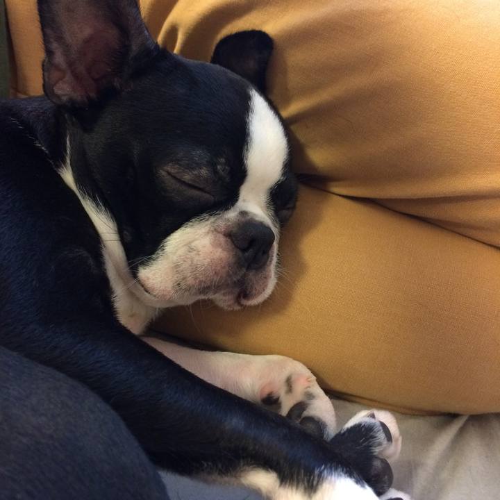 50a32a5d 0075 4ae8 bbed 1cc0081fce88