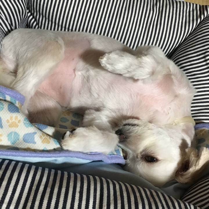 50a34dd1 193d 4681 b2bd 280425549464