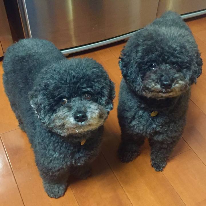 50a38899 59c2 43bc 9bec 2b442bbf2c43